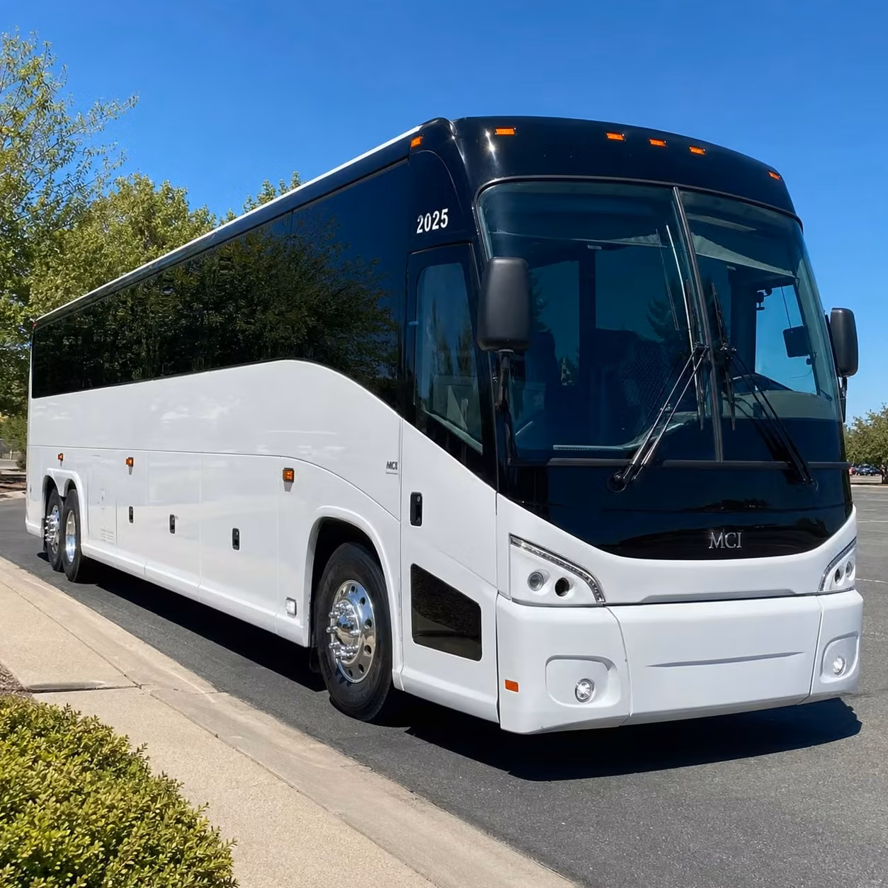 heading outside pinellas park you can still compare long distance transportation options