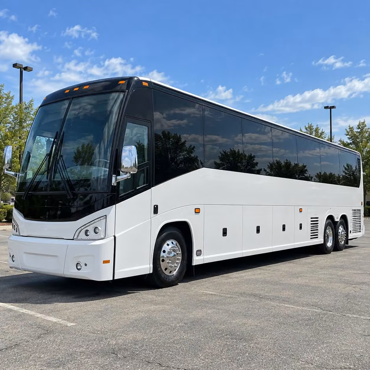 heading outside pinellas park you can still compare prom transportation options