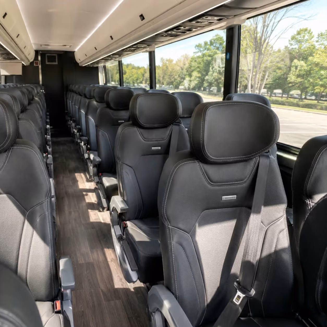 pinellas park charter bus rental interior