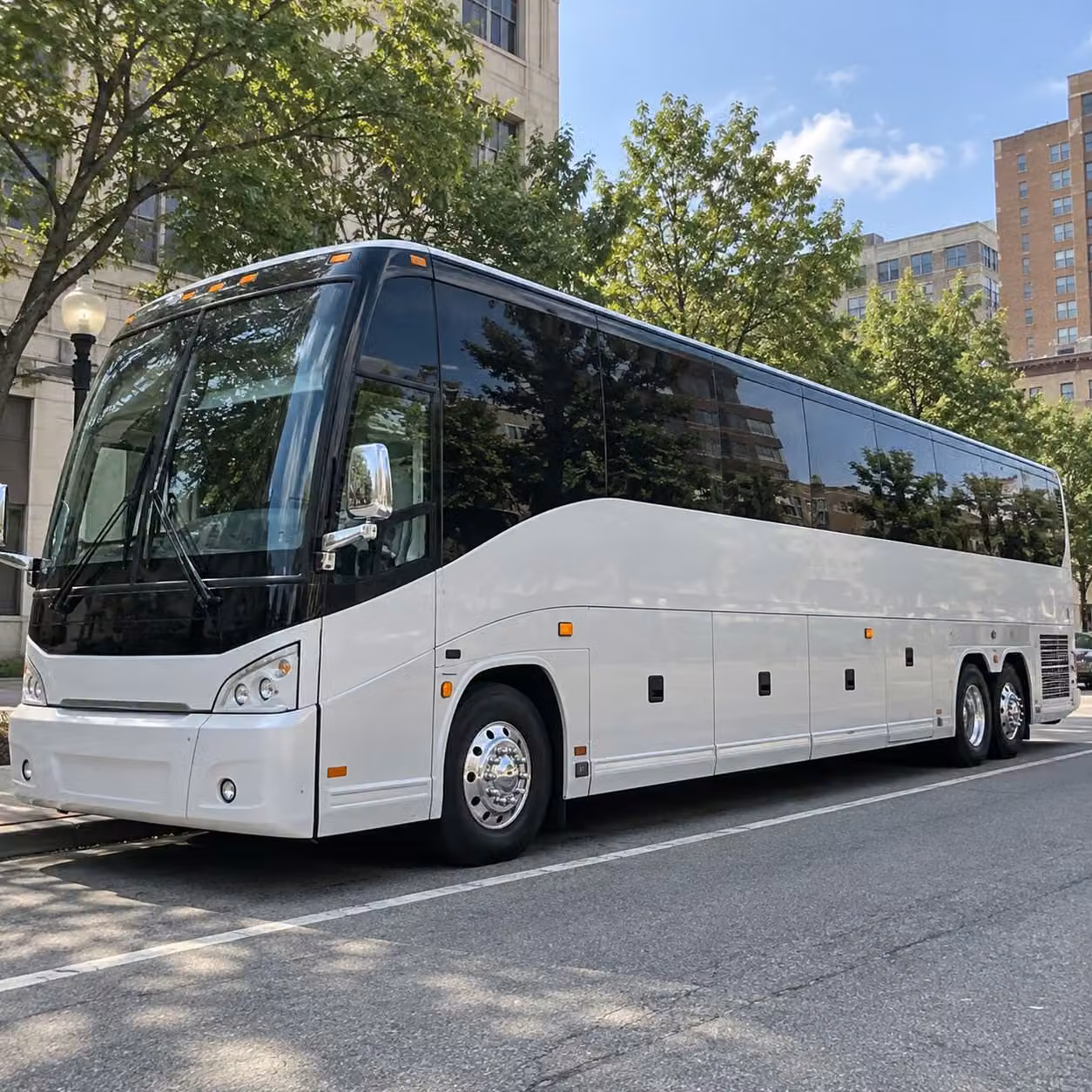 pinellas park fans heading to tropicana field have a smarter way to travel