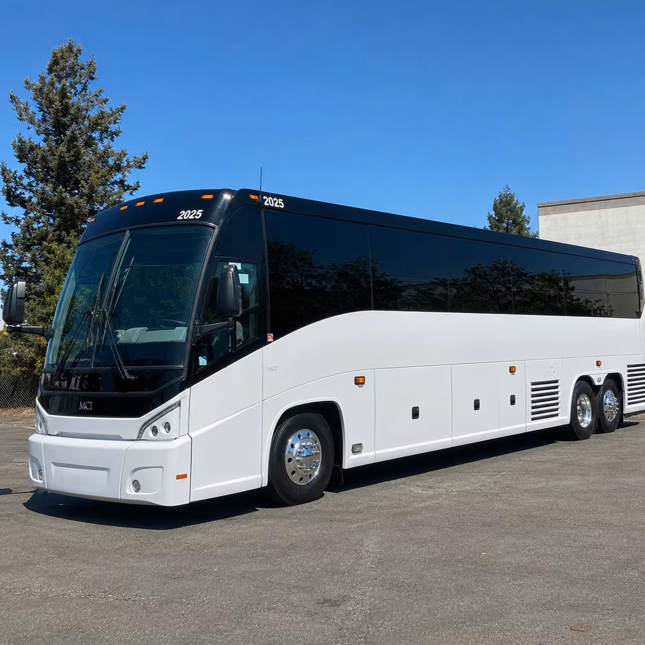 weekly senior shuttle service for pinellas park congregations